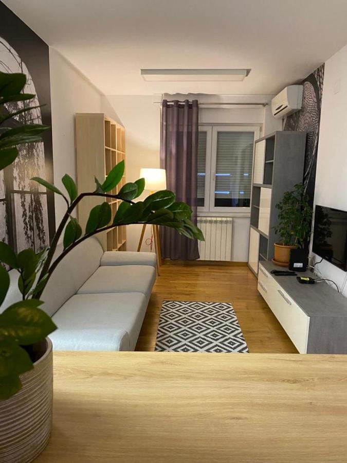 Benvenuti Apartments Belgrado Exterior foto